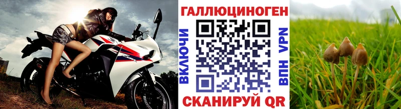 Псилоцибиновые грибы Magic Shrooms  Купить где  Сафоново 